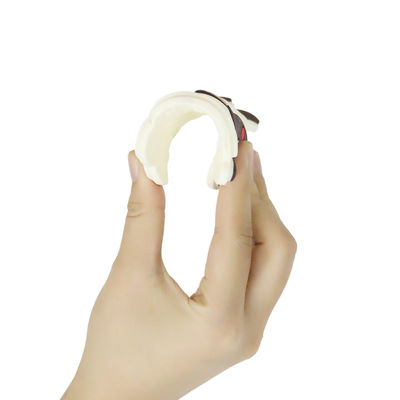 Baby Teether Silikon Pribadi Berwarna-warni Dengan Bentuk Dino Kuda Domba