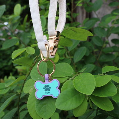 BPA bebas silikon diam anjing tag warna-warni silikon anjing leher tag di jual unik Silikon anjing ID tag aksesoris