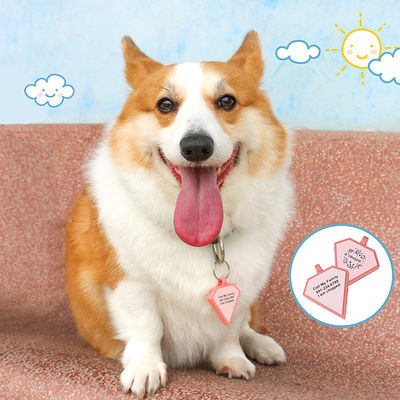 PAISEN Tag Anjing Pribadi Terukir 3D Kode QR Anjing Kerah Kucing Tag Anjing Silikon