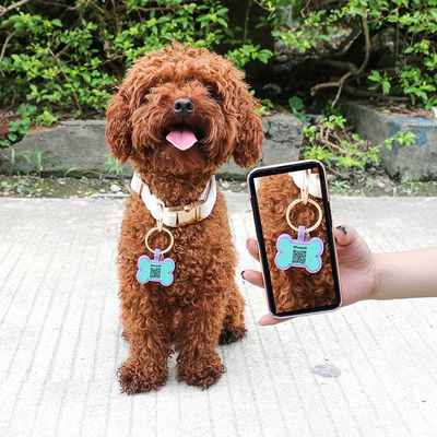 PAISEN Tag Anjing Pribadi Terukir 3D Kode QR Anjing Kerah Kucing Tag Anjing Silikon