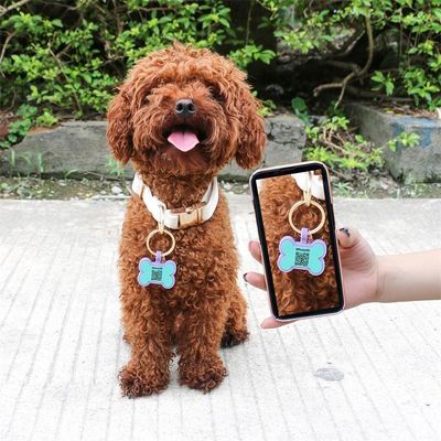 Grosir MOQ rendah Murah bentuk yang berbeda banyak warna untuk opsi silikon kosong anjing tag nama ID tag