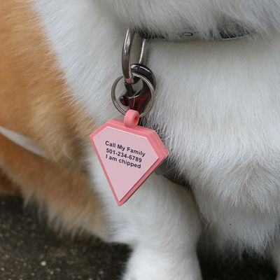 Grosir MOQ rendah Murah bentuk yang berbeda banyak warna untuk opsi silikon kosong anjing tag nama ID tag