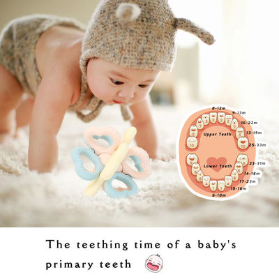 PAISEN BSCI Rattle Baby Teether Ball Toy BPA Bebas Silikon Soft Ball Mudah Dipegang Teether untuk Bayi Usia 6 Bulan+